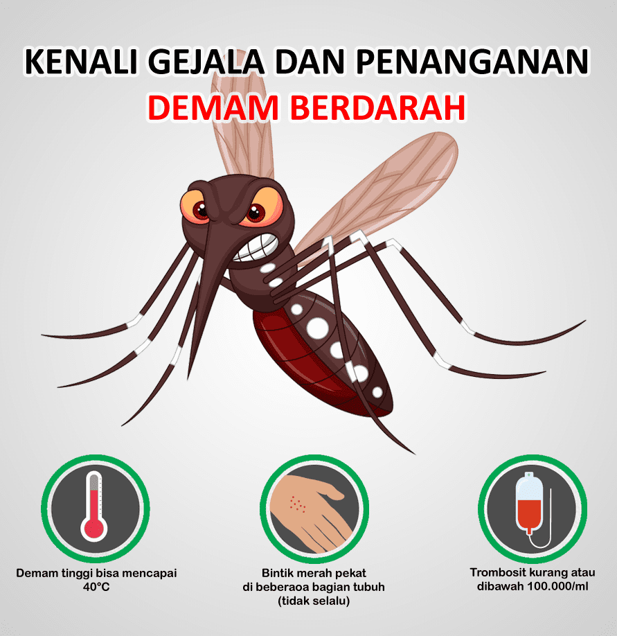 Penyakit DBD