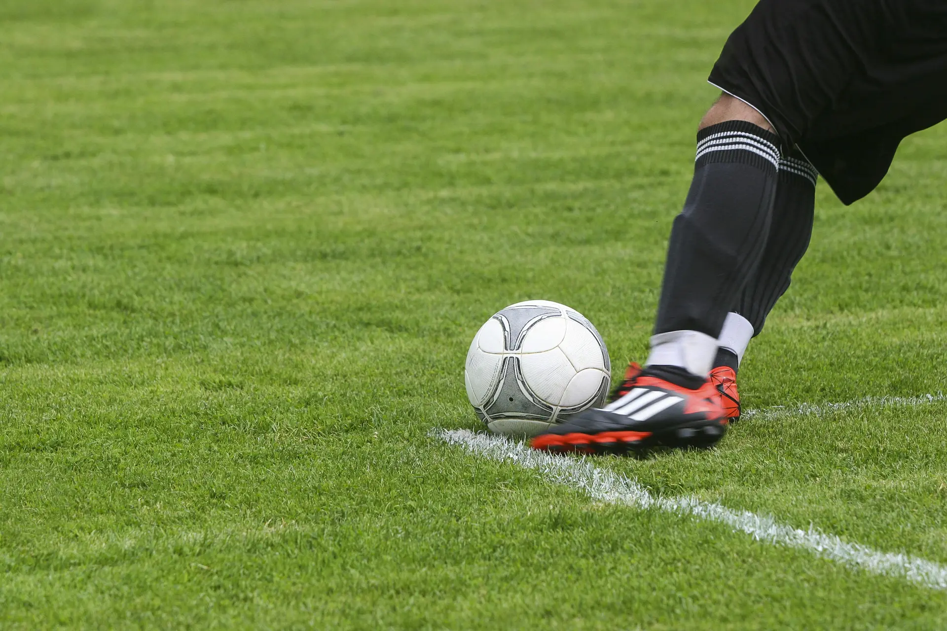 alasan main di sbobet resmi